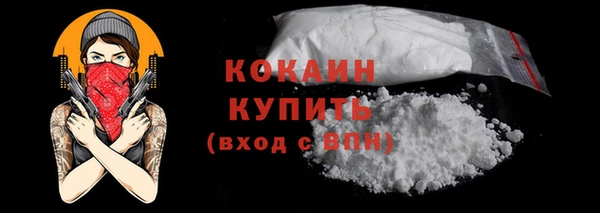 дживик Осинники