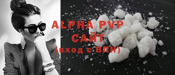 гашик Новозыбков